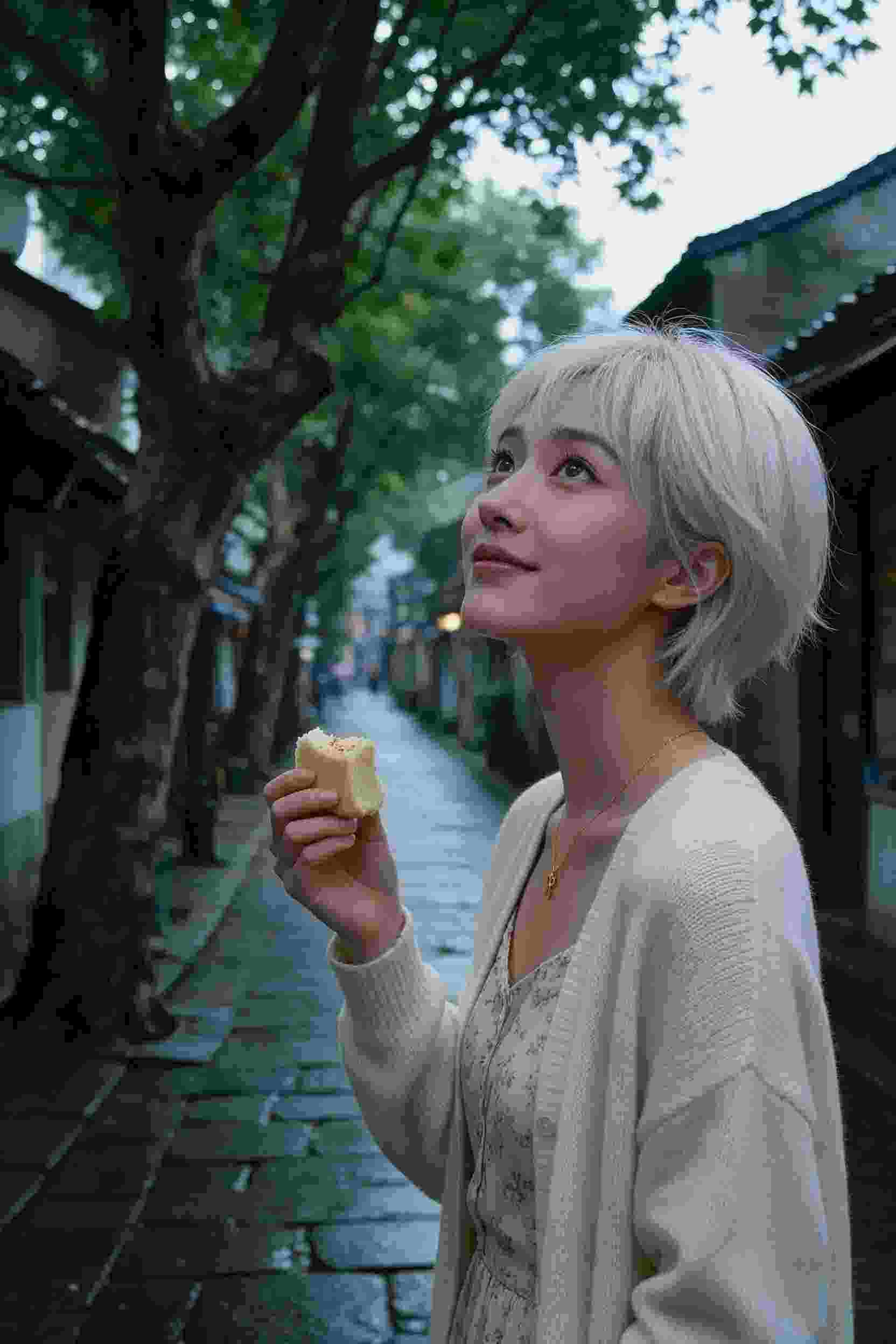 综艺明星养成记